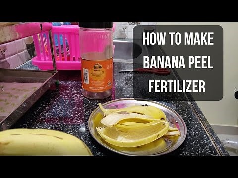 How to Make Banana Peel Fertilizer (A Complete Step by Step Guide)