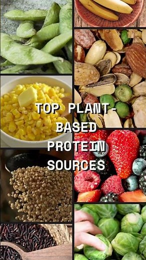Top Plant-Based Protein Sources #metabolichealth #rootcausehealth #naturaltrinity