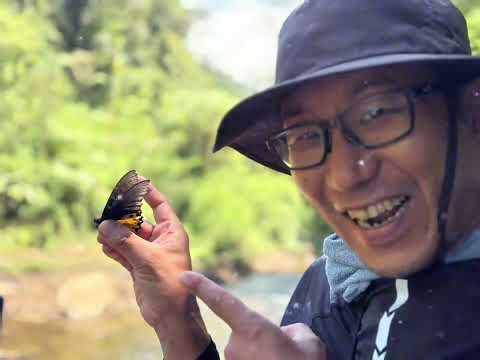 Applications now open for Indonesia insect collecting tours #TatsunoMinnaNoInsectarium