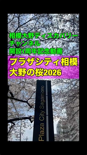 開設1周年記念動画(プラザシティ相模大野の桜2026)