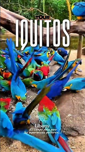 IQUITOS PERÚ 🌴 Tour por la Amazonía | Paquetes 3, 4 y 5 días en la Selva Amazónica 2026