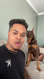 He gets so frustrated! 💀🤣 #fyp#suavexavier#knox | Animals lover