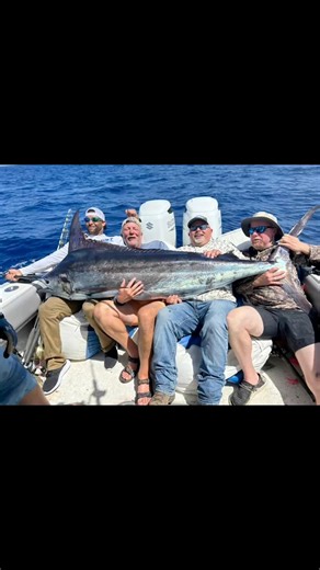 Reel Obsession Sport Fishing on Reels