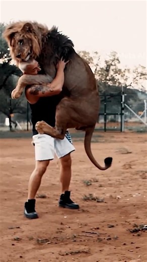 Lion’s Deadly Jump Caught on Camera 😱 #wildlife#viral #short