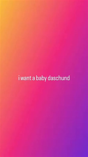 @gerbert.burger on Instagram: "they’re the cutest things in the whole world #fyp #relatable #thoughts #loser"