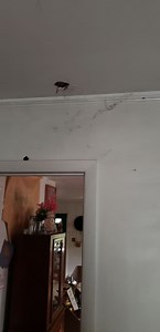 Ripoff Report | Susun Weed - Wise Woman Center Susan Weed Wise Woman Center Justine Smythe Michael J. Dattorre Susun Weed Green Goddess Ash Tree Publishing Down There Drugged and abused me and other women. Saugerties 416 Fish Creek Road
