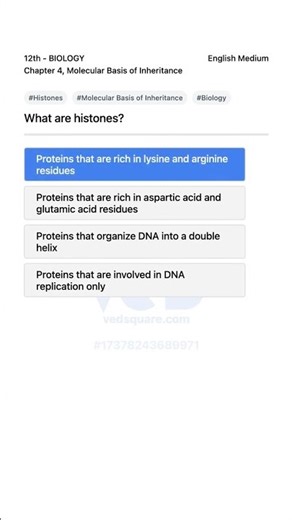 Understanding Histones in Molecular Basis of Inheritance Biology 12th