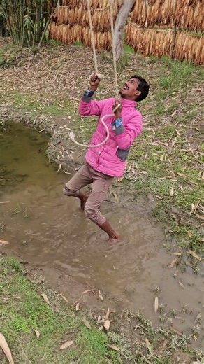 Sleeping on a tree branch .86218#funny