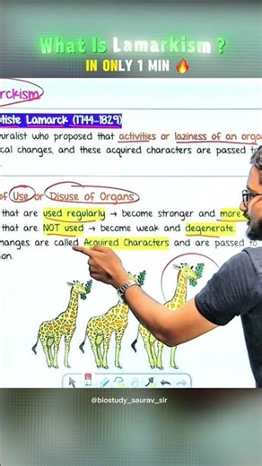 class 10 science chapter 1 | class 10 science chapter 1 gravitation explanation |#class10th #science