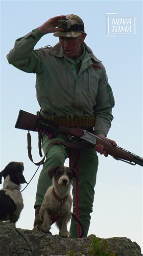 🦊 A la espera del zorro mientras los perros trabajan.