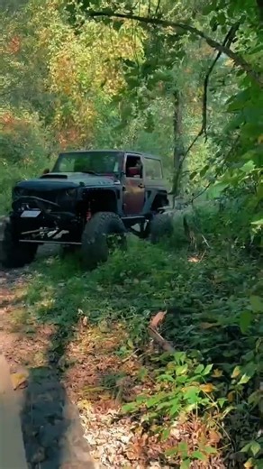 Jeep JK trailing woods #jeepoffroad #lifeisbutadream #offroad #jeepjk
