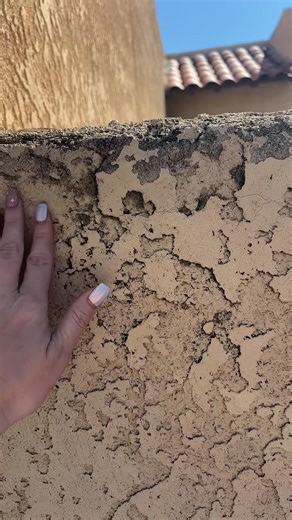 Understanding the Challenges of HOAs in Family Inheritance