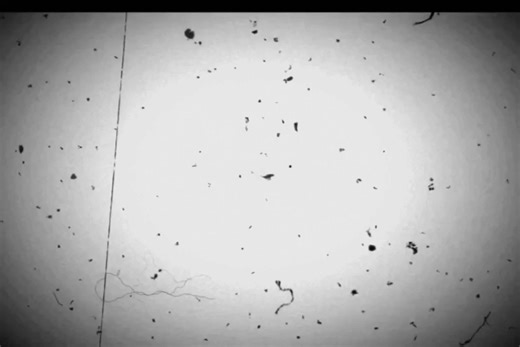 TFS/ENCADREMENT ISAU #rdcongo🇨🇩 #architecture #creator #visibility #isau@Richard Cardona | Arquitecto @Victor Muka Bay