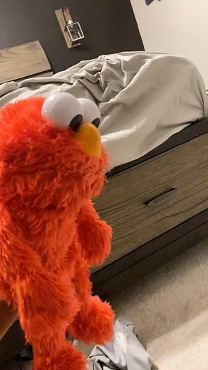 Logan T on Instagram: "Elmo is vibing #elmo #elmomemes"