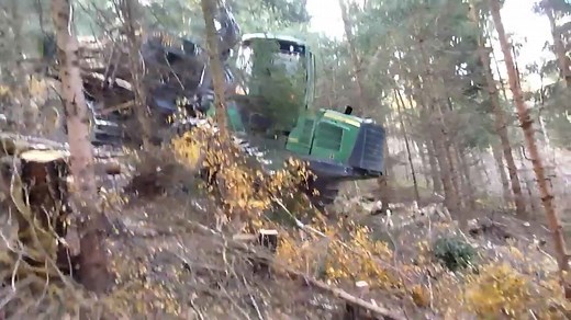John Deere Excels in Tree Loading and Precise Placement with Ease