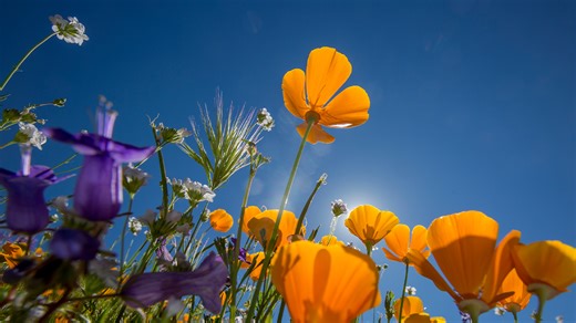 Map: How much warmer spring has gotten in your area since 1970