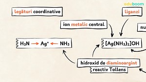 Combinații complexe. Chimie clasa a 9-a
