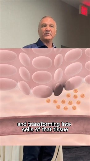 3K views · 56 reactions | Biohacking Conference on Stem Cells - Part 3 To suport my page please check product by link in coment. #stemcellchristian #stemcelltherapy #daveasp #sciencelesson #biohackingconference2022 #stemcells #biology #endogenousstemcellmobilization #biohacking | stemcellchristin | Facebook