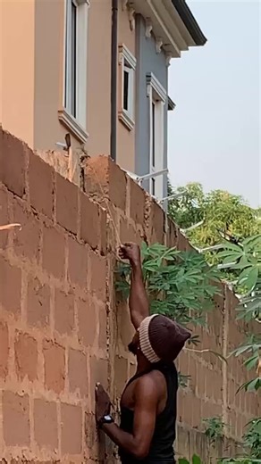 I am a king in catching lizard