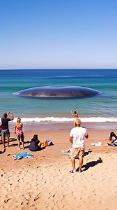 17K views · 133 reactions | Incredible footage that was recorded on the beach! Check out this UFO! Must see! #UFO #UFOS #uaps #uap #Aliens #alien #OVNI #beach Join group watch more: Mysterious Aliens & UFO Disclosure ✔ | Mystery History II | Facebook
