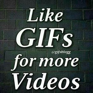 37K views · 185 reactions | Funny moments.  Like GIFs for more videos. | GIFs | Facebook