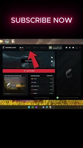 How to install mods on feather client #minecraft #donutsmp