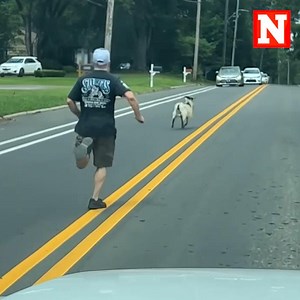 A man shared the moment he encountered "Billy the Kidd," an outlaw goat running loose through Birmingham, Alabama for several days. | Newsweek