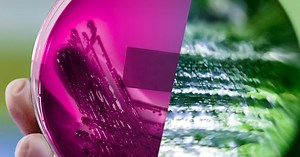 Paid Program: Inside the Bio Revolution