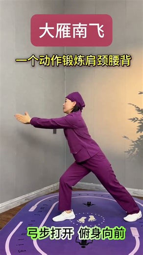 One movement of wild geese flying south exercises the shoulders neck waist and back#Exerci