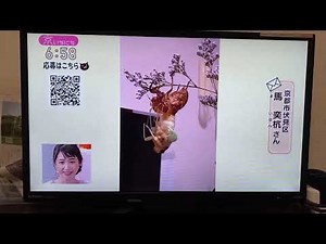 NHK京都 京のいちにち 8月25日