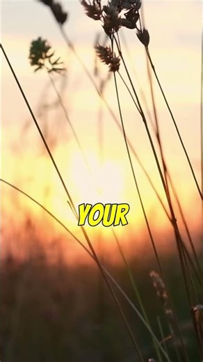 First Things First Song | Grace Based Music | Robert Batchelor