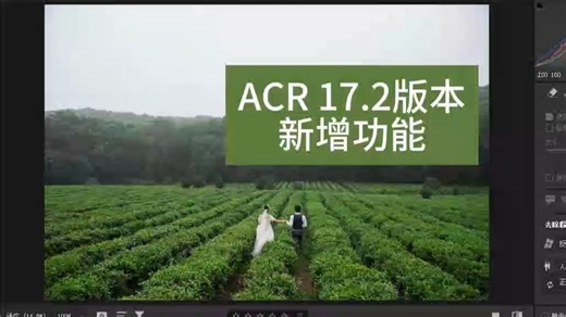 ACR教程：ACR 17.2最新版本新增功能讲解