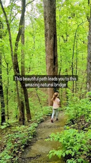 6.6K views · 411 reactions | This Natural Bridge is a wonderful free stop in Bankhead National Forest.  Little Natural Bridge, Bankhead National Forest Find directions here (link to website in bio): https://huntsvilleadventurer.com/natural-bridge-hiking-trail/ . #alabamathemagical #Alabama #alabamathebeautiful #alabamatravel | Huntsville Adventurer | Facebook