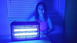 Watch Zap It Indoor Bug, Fly, Insect and Mosquito Zapper on Amazon Live