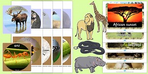 Printable Animal Display Pictures Cut-Out Pack