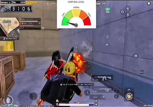 PUBG Mobile Metro Royale Trend