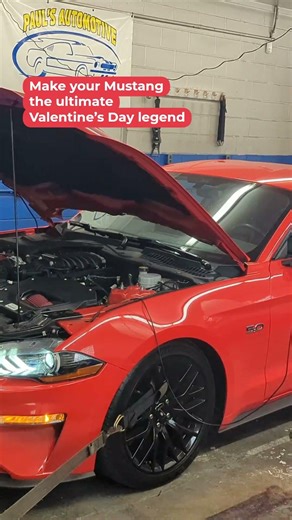 Valentine’s Day Custom Mustang Builds