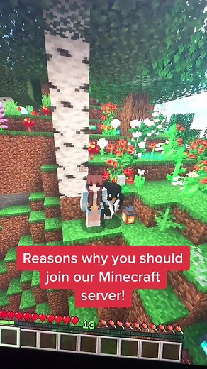 Server IP: mc.life-romania.com💚 Join our Discord as well, link in comments!✨#fyp #minecraft #survival #java #minecraftserver #foryou #gaming #smp