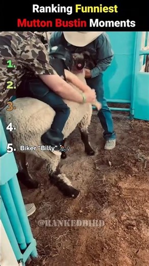 Ranking the most brave Kids going full Rodeo 🐑🤠 #shorts #viralvideo