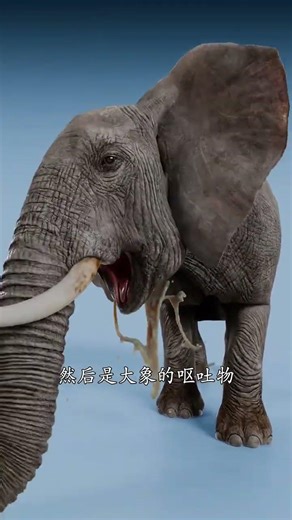 Gross! Watch Vomit from Chickens to Deep-Sea Monsters