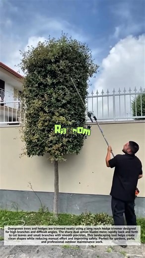 Powerful Pole Hedge Trimmer Making Perfect Tree Shapes! 🌳