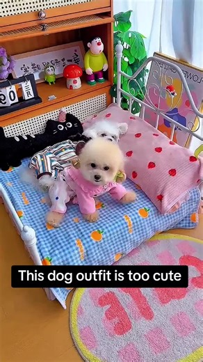 Adorable Dog Fashion Trends for Pet Parents