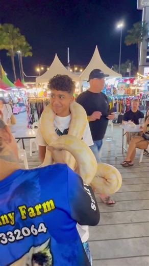 The Biggest Albino Python 35kg #python #albino #christmas #music