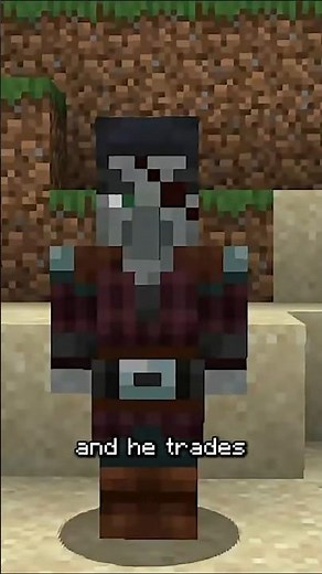 Minecraft Drowned Pirate Secret
