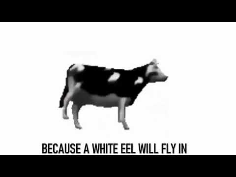Dancing Polish Cow | In English + Lyrics!!