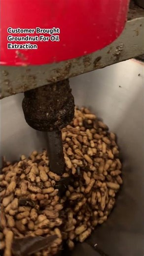 Extracting Groundnut oil from whole groundnuts in village by NirbanOils