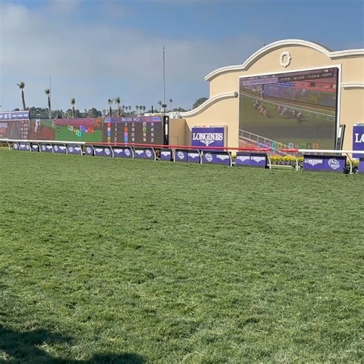 Equibase | Ethical Diamond (IRE), a 5yo gelding trained by @williepmullins, earned the highest Equibase Speed Figure of any horse in the 2025... | Instagram