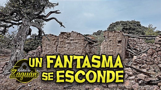EL FANTASMA SE DIO CUENTA QUE LO VI DETRÁS DEL ÁRBOL !! | Relatos de Zaguan Luis Carrillo