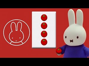 The Same Game—The Recipe | Miffy & Friends