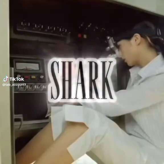 Scratch Cat Animation Edit by MrTHXCat